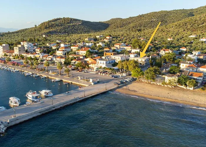 εolia
