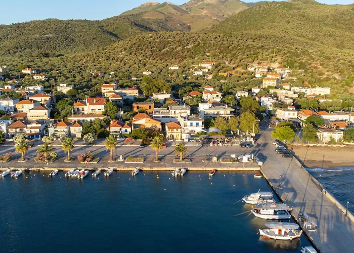 εolia Daire